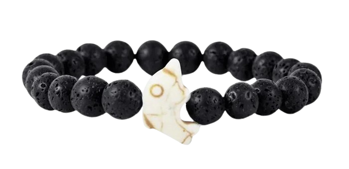 Bracelet de suivi dauphin