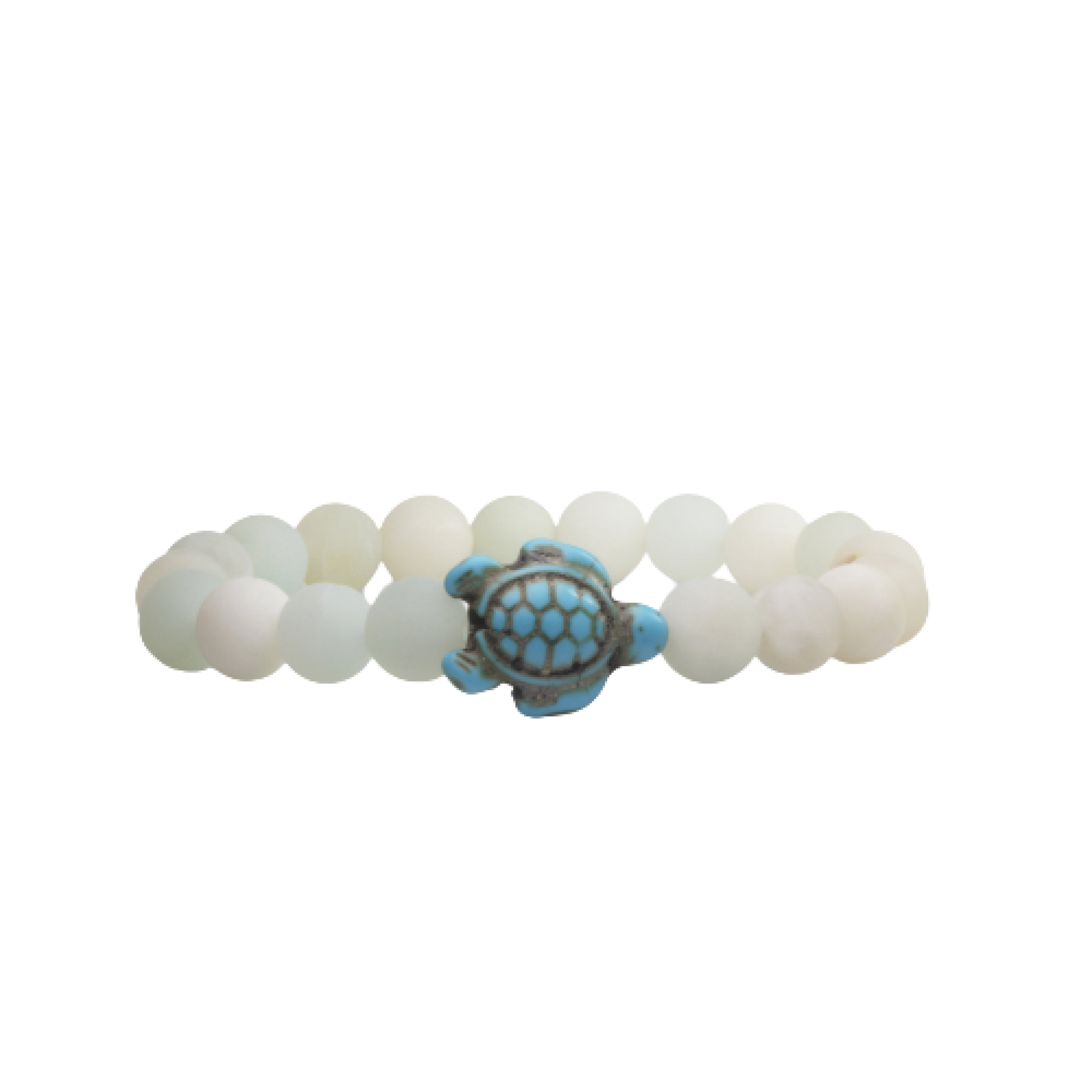 Tortuga marina - pulsera de seguimiento