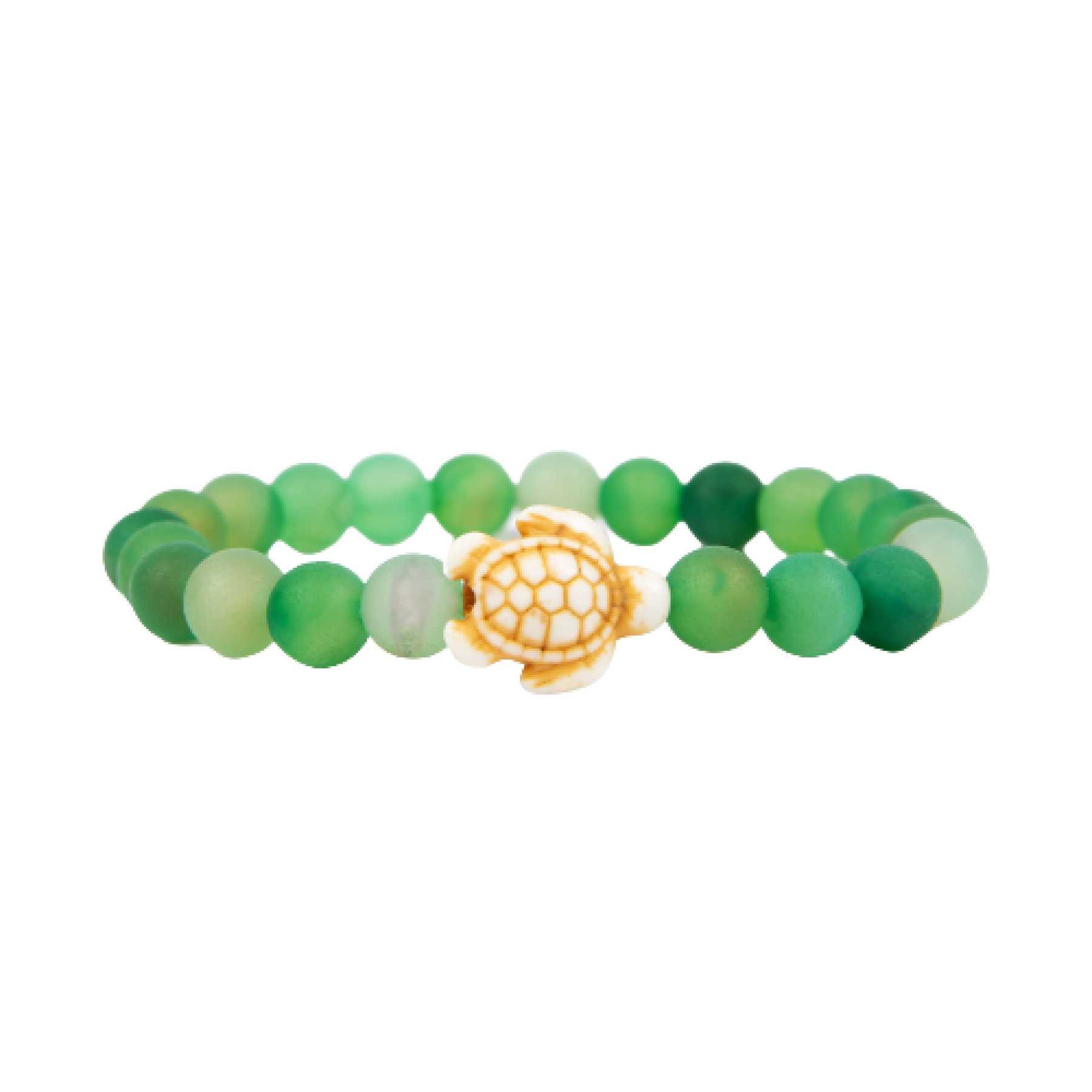 Tortuga marina - pulsera de seguimiento