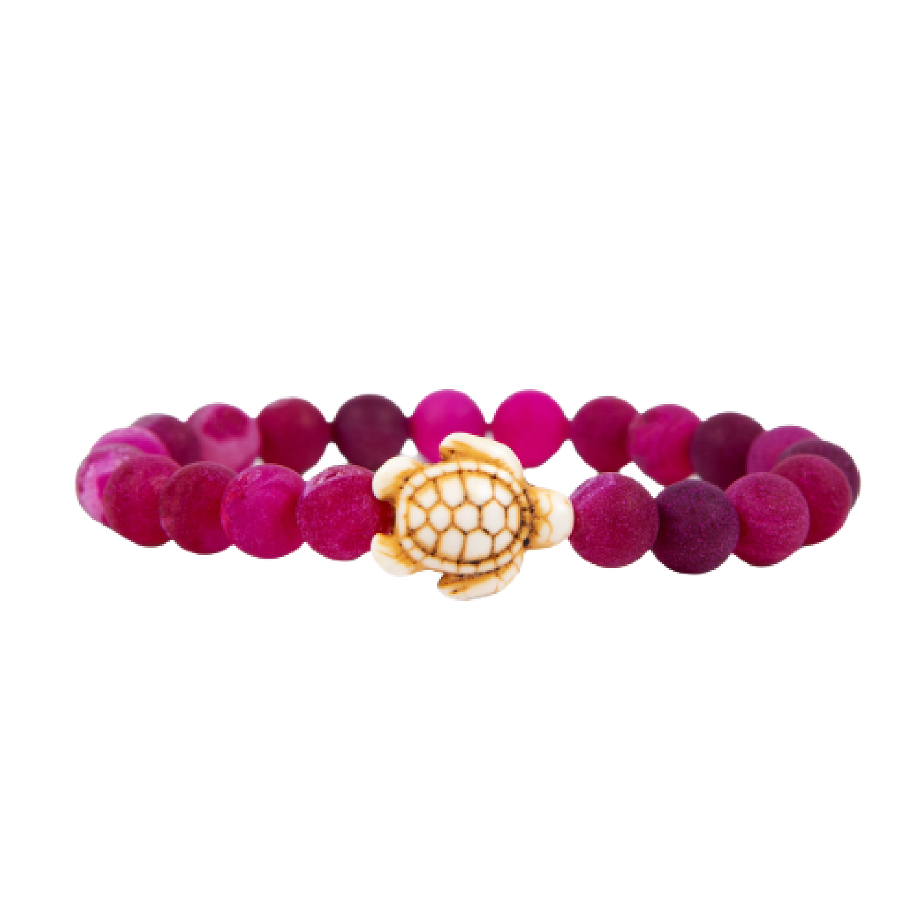 Tortuga marina - pulsera de seguimiento