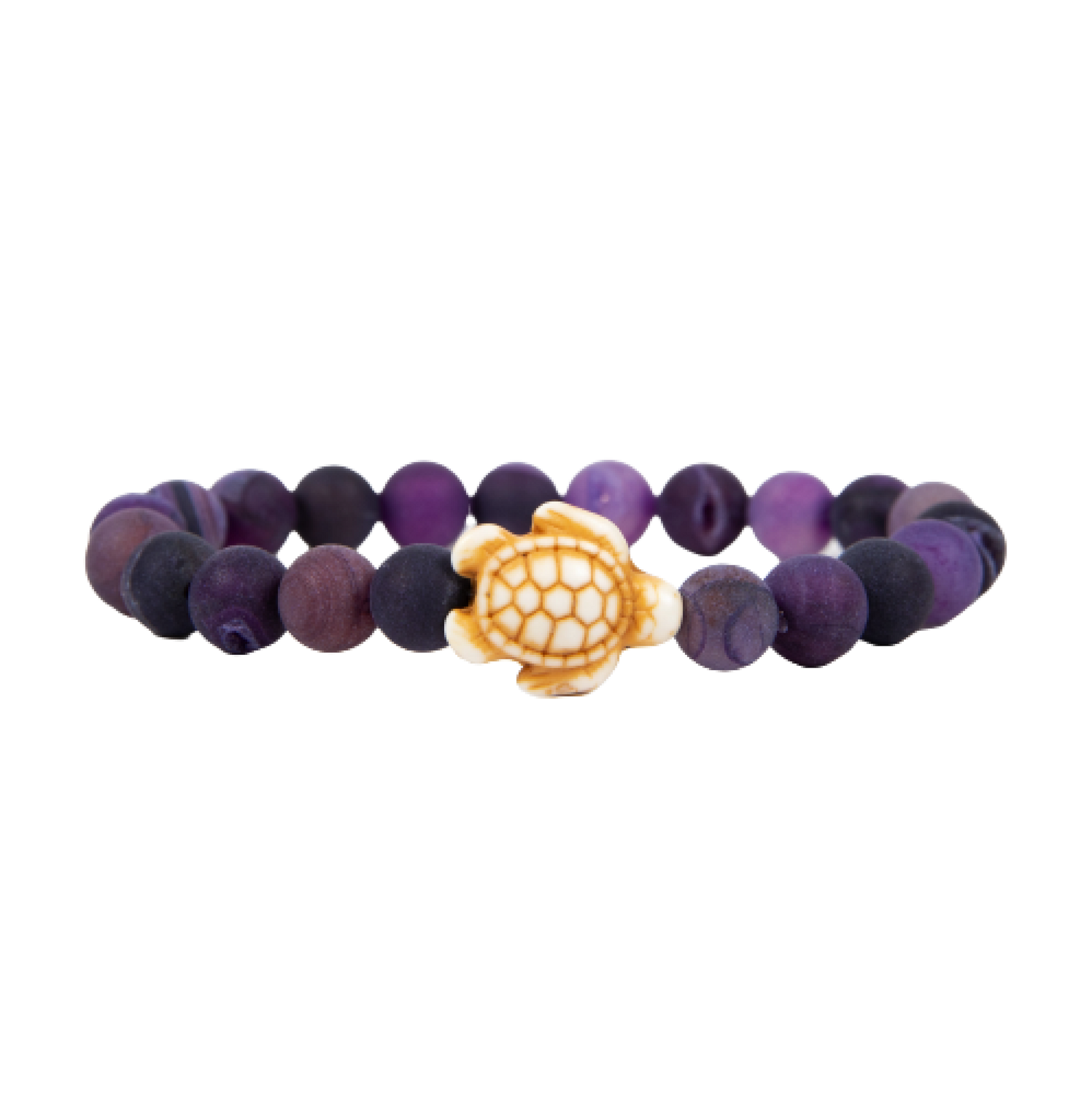 Tortuga marina - pulsera de seguimiento