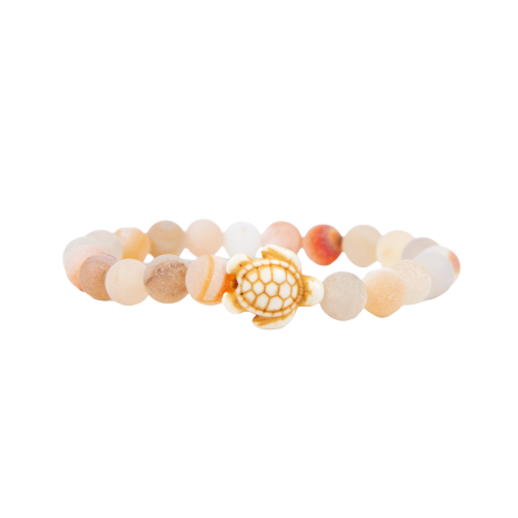 Tortuga marina - pulsera de seguimiento