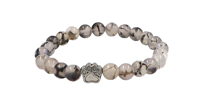 Polar Bear tracking bracelet