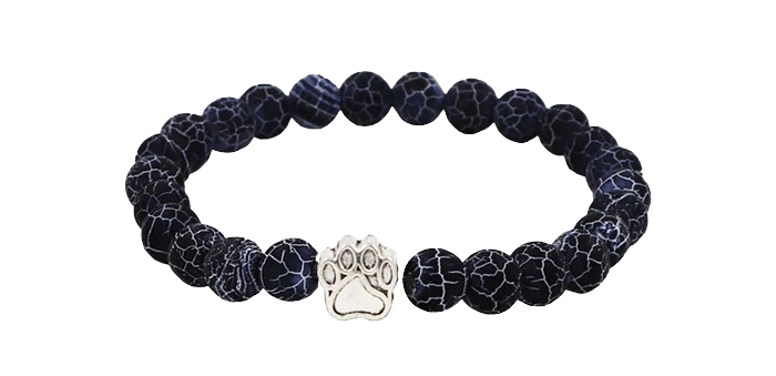 Bracelet de suivi de l'ours polaire