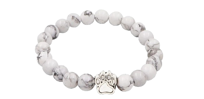 Polar Bear tracking bracelet