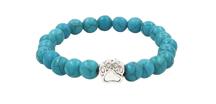 Polar Bear tracking bracelet