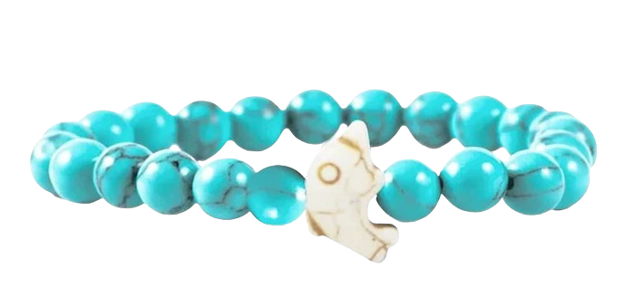 Bracelet de suivi dauphin
