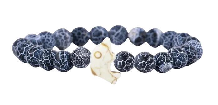 Bracelet de suivi dauphin