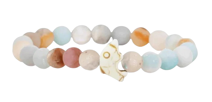Bracelet de suivi dauphin