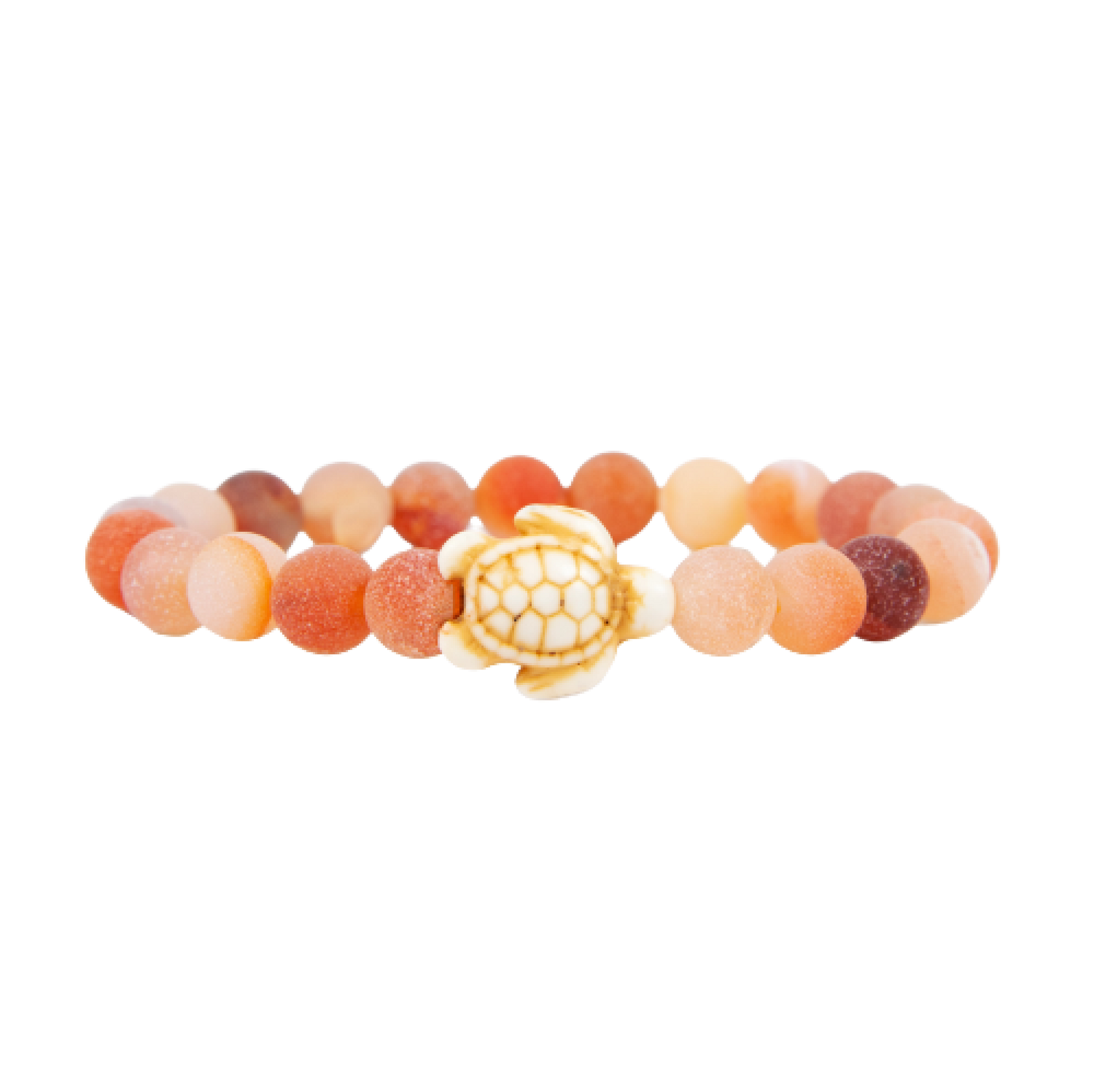 Bracelet de suivi Tortue marine