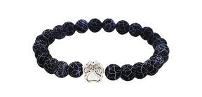 Polar Bear tracking bracelet