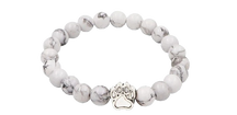 Bracelet de suivi de l'ours polaire