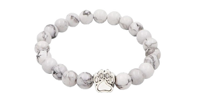 Bracelet de suivi de l'ours polaire