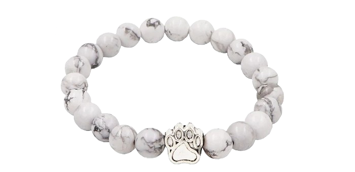 Bracciale per la localizzazione dell'orso polare