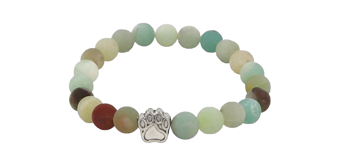 Bracelet de suivi de l'ours polaire