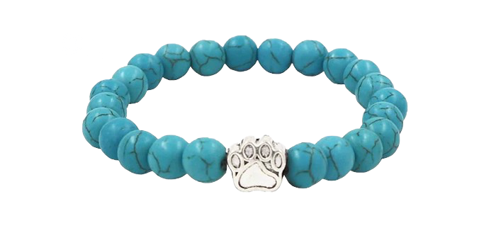 Bracelet de suivi de l'ours polaire